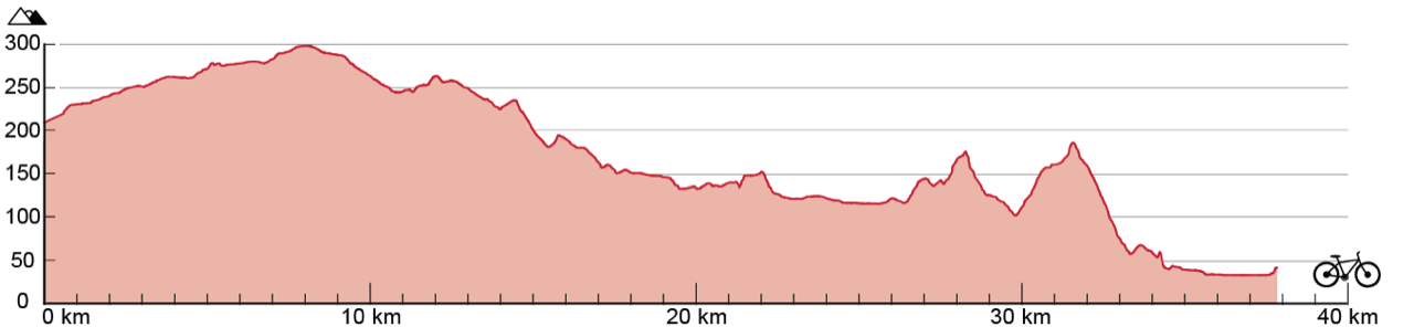 Line graph showing the change in altitude over the 38-kilometre route. The route varies in altitude from 50 meters to 300 meters, with both positive and negative gradients.